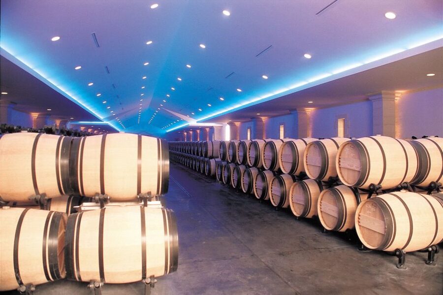 Bordeaux: Vineyards Wine Tasting Half-Day Trip - Blaye and Bourg: history with one château visit