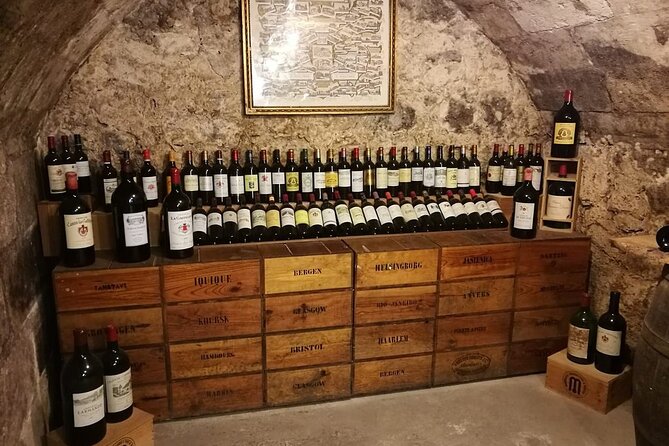 Bordeaux Wine and Trade Museum Admission Ticket with Wine Tasting - Merlot and Cabernet Sauvignon in plain terms