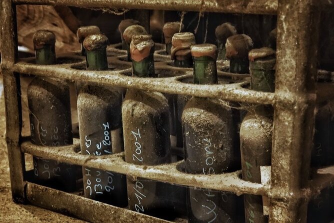 Bordeaux Wine and Trade Museum Admission Ticket with Wine Tasting - Price, value, and what you receive