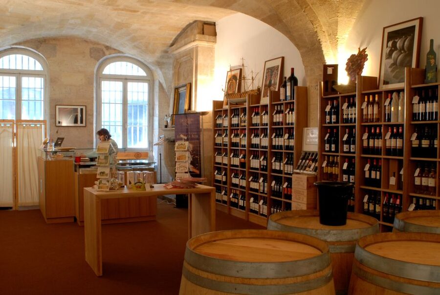 Bordeaux: Wine and Trade Museum Entry Ticket & Wine Tasting - The Vineyard Presentation Explains Bordeaux’s Basic Vocabulary