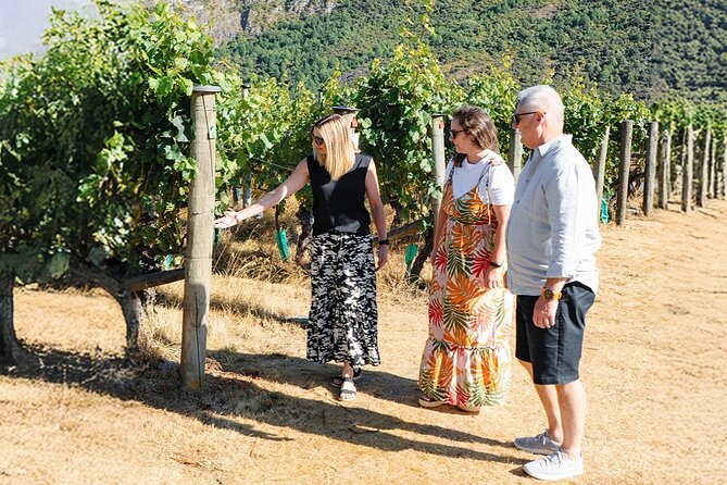 Boutique Wine Tour - visit Central Otago, 4 Wineries & Lunch - Bannockburn brings lunch and a change of scenery