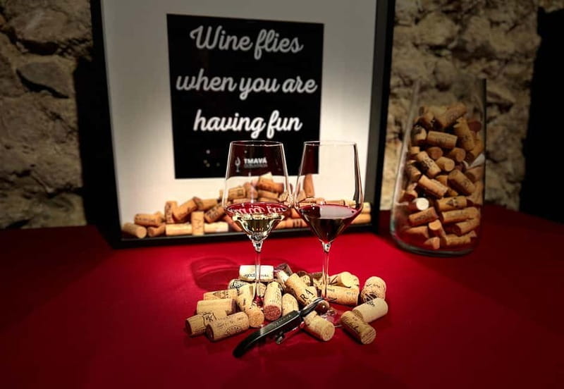 Bratislava: Wine Tasting Experience in the Dark - Key points at a glance