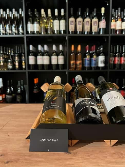 Bratislava: Wine Tasting Experience in the Dark - How the lights change the tasting