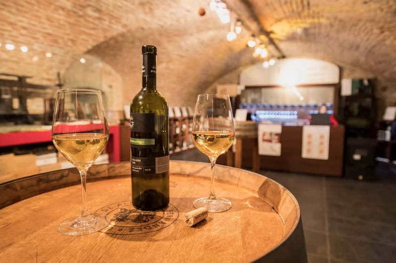 Bratislava: Wine Tasting with Sommelier - Key things to know before you book