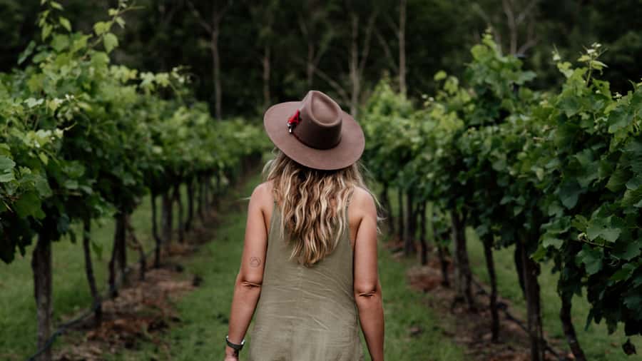 Brisbane: Boutique Winery Tour with Gourmet Lunch - Hampton Estate and the first taste of the day