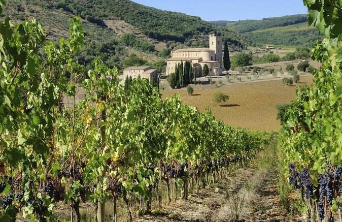 Brunello di Montalcino Wine Tour of 2 Wineries with Pairing Lunch - Key points at a glance