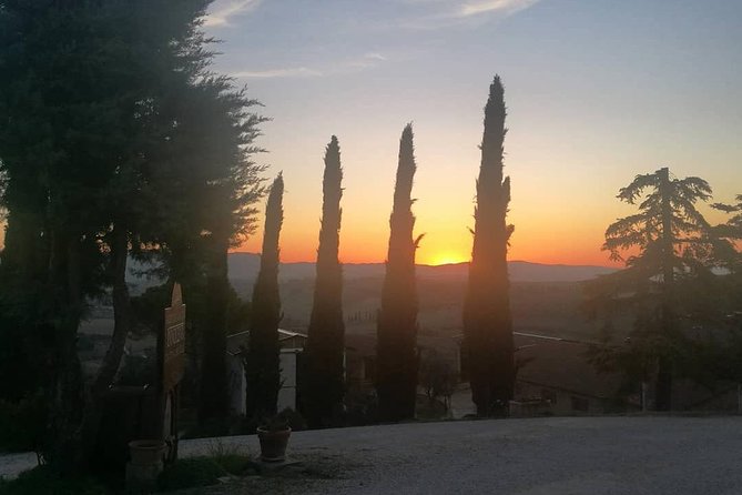 Brunello Wine Tour and Val D'Orcia Landscape - Why Brunello makes this tour worth considering