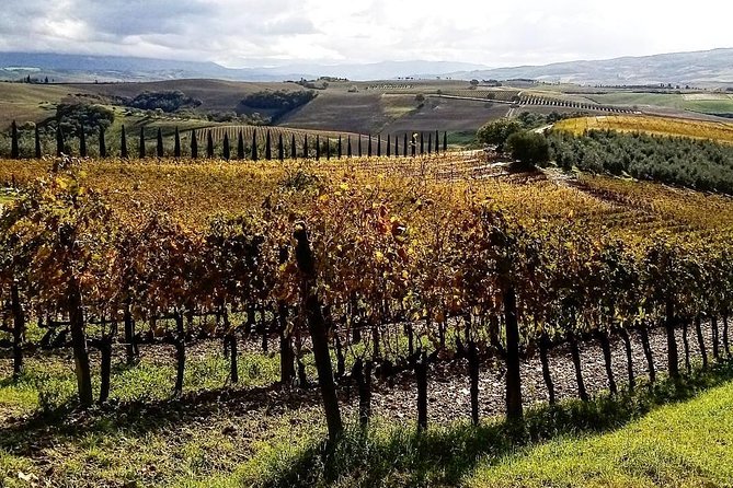 Brunello Wine Tour and Val D'Orcia Landscape - Fabrizio’s personal approach