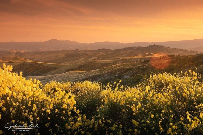 Brunello Wine Tour and Val D'Orcia Landscape - Who will enjoy this experience most?
