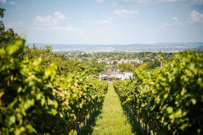 Budapest Half-Day Wine Tour: 3 Family Wineries, Meal & Pálinka - The personal feel is the main advantage