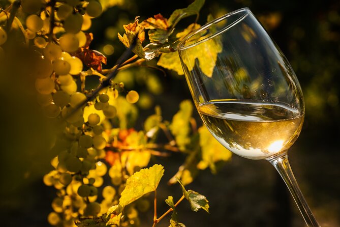 Budapest Half-Day Wine Tour: 3 Family Wineries, Meal & Pálinka - Who should book this Etyek outing