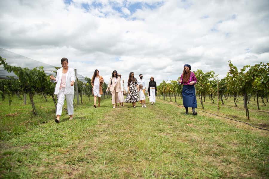 Buenos Aires: Wine Tasting and Lunch at Bodega Gamboa - The best and less ideal seasons for the visit