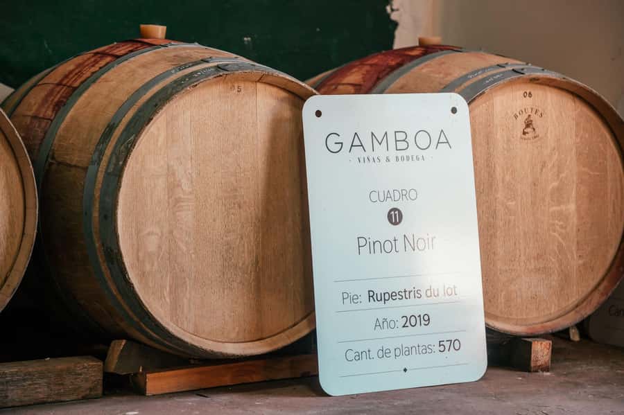 Buenos Aires: Wine Tasting and Lunch at Bodega Gamboa - Small details that improve the day
