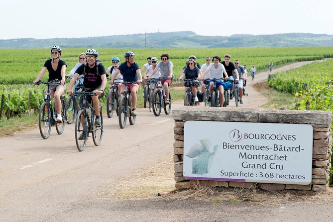 Burgundy Bike Tour with Wine Tasting from Beaune - The final tasting around Pommard
