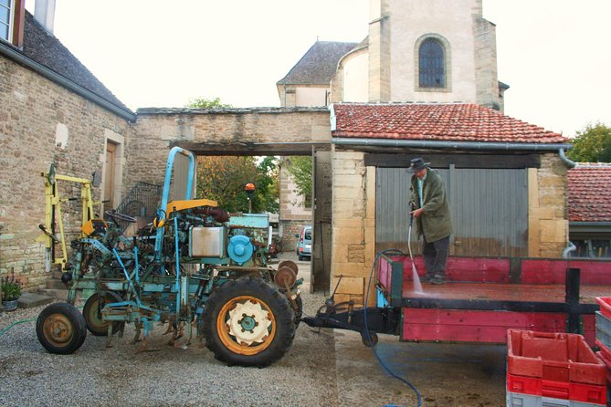 Burgundy Bike Tour with Wine Tasting from Beaune - What the $253.95 price really buys