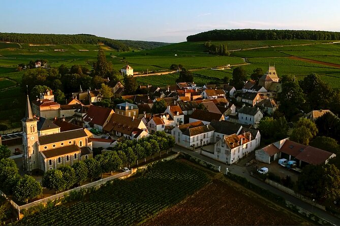 Burgundy Grand Crus Route Day Tour - 14 Wines Tastings in Domains - What the $302.46 Price Gets You