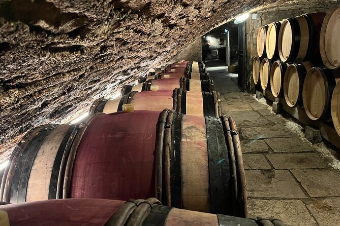 Burgundy Grand Crus Route Day Tour - 14 Wines Tastings in Domains - Starting in Beaune at a Local Domaine