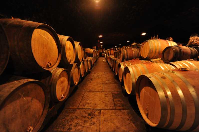 Burgundy Wines Full-Day Tasting Tour from Dijon - Why this Burgundy day tour works from Dijon