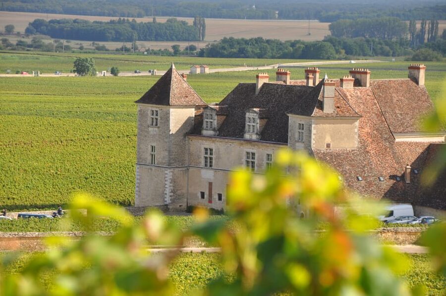 Burgundy Wines Full-Day Tasting Tour from Dijon - Inside a family-run cellar in the Côte de Beaune