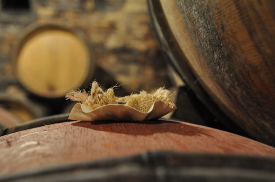 Burgundy Wines Full-Day Tasting Tour from Dijon - Through the Côte de Nuits and its famous vineyard names