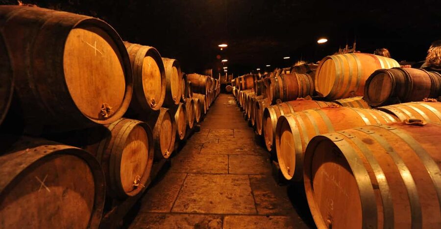 Burgundy Wines Full-Day Tasting Tour from Dijon - Corton hill and the first look at the Côte de Beaune