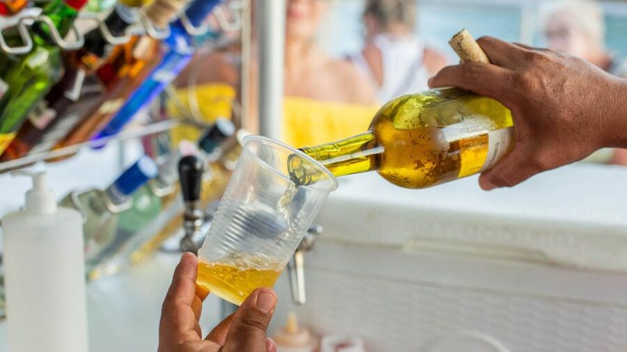 Cabo San Lucas: 2 Hour Sunset Cruise with Food and Wine - Sunset, jazz, and the open bar