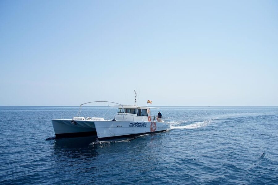 Calpe: Sunset Cruise with Sparkling Wine - Dolphin sightings are a lucky bonus
