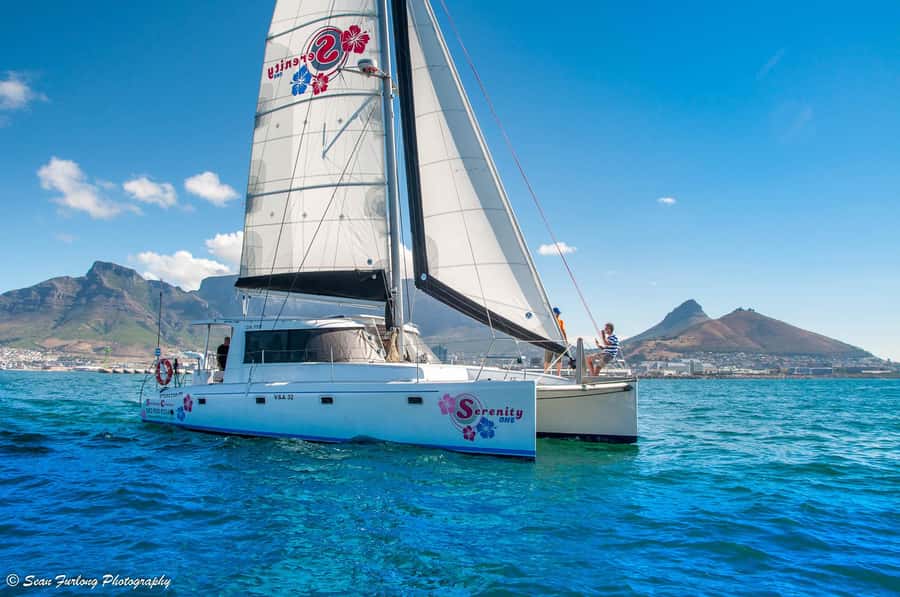 Cape Town: 1-Hour Pre-Sunset Champagne Cruise - Setting out from the V&A Harbour