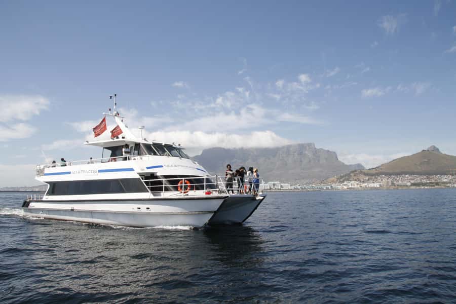 Cape Town: 1-Hour Pre-Sunset Champagne Cruise - Table Mountain during golden hour