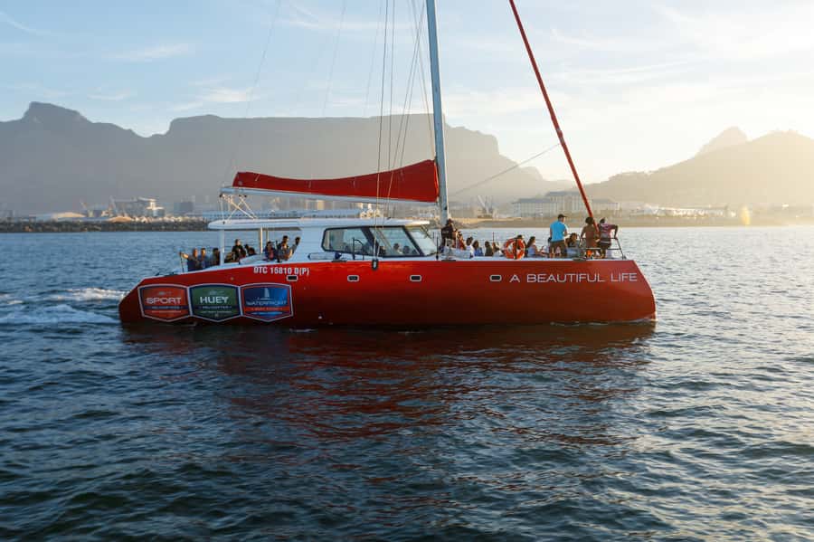 Cape Town: Catamaran Champagne Sunset Cruise - Table Mountain from the sea