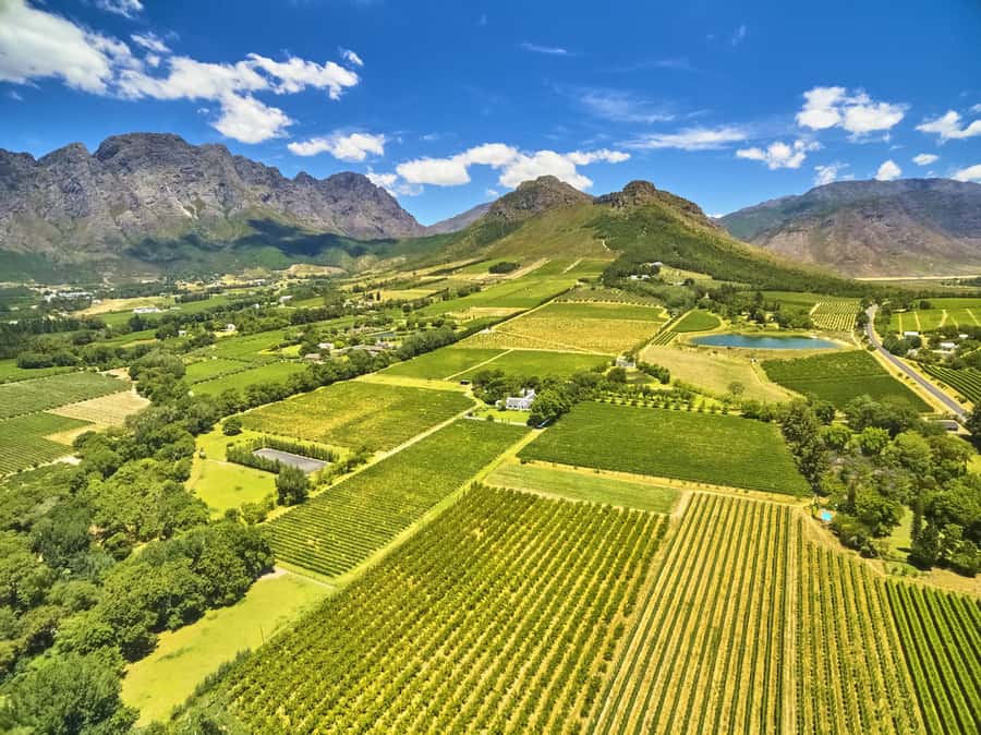Cape Town: Full-Day Wine Tasting Tour with Wine Tram - Tokara and the view from Hell’s Heights
