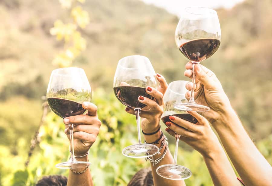 Cape Town: Full-Day Wine Tasting Tour with Wine Tram - The Nelson Mandela stop adds a serious final note