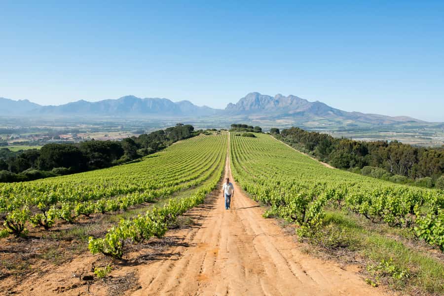 Cape Town: Full-Day Winelands Tour with Wine Tastings & Food - Morning pickup and the road to Paarl