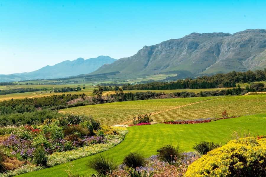 Cape Town: Guided Winelands Tour & Tasting in Stellenbosch - Key points at a glance