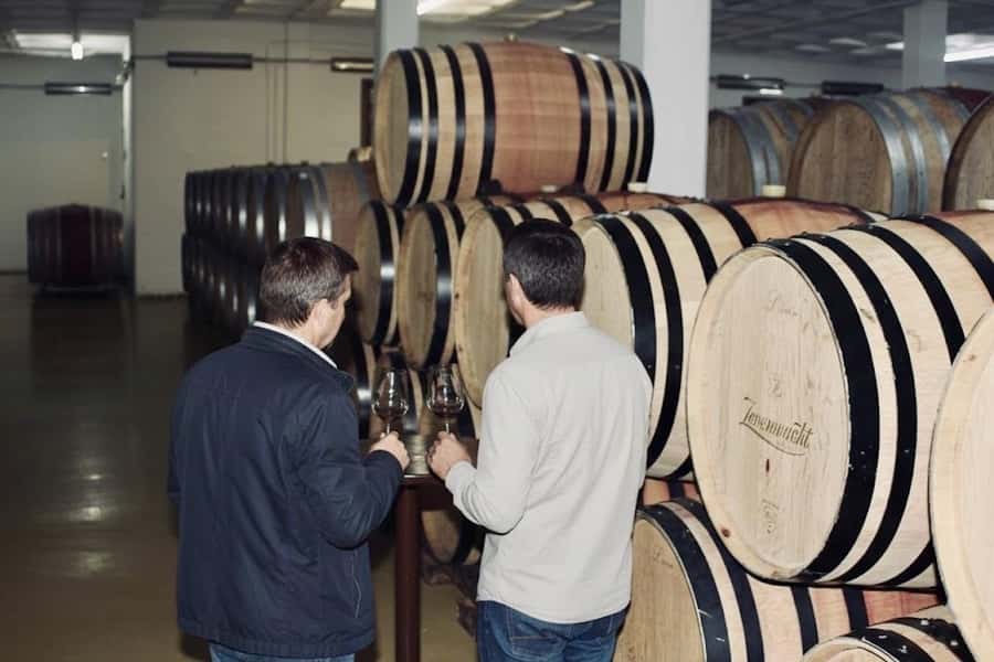 Cape Town: Guided Winelands Tour & Tasting in Stellenbosch - Booking details worth knowing