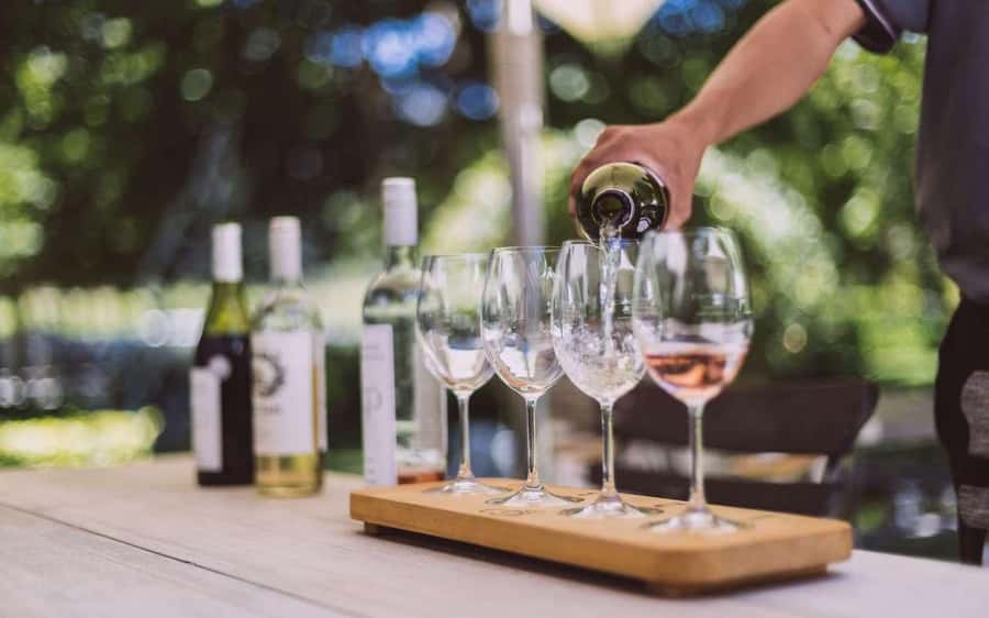 Cape Town: Guided Winelands Tour & Tasting in Stellenbosch - The ride from Cape Town to the vineyards