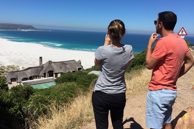 Cape Town Peninsula Day Tour ( Cape Point/Boulders/Wine Tasting) - Why this Cape Peninsula day tour works well