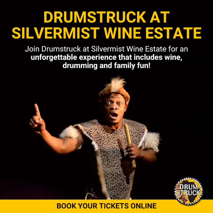 Cape Town: Silvermist Estate Wine Tasting & Drumstruck Show - Drumstruck Turns You Into the Band