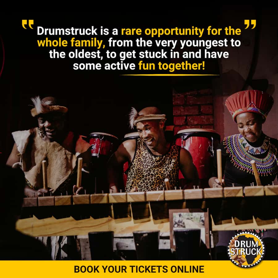 Cape Town: Silvermist Estate Wine Tasting & Drumstruck Show - What the $28 Price Delivers