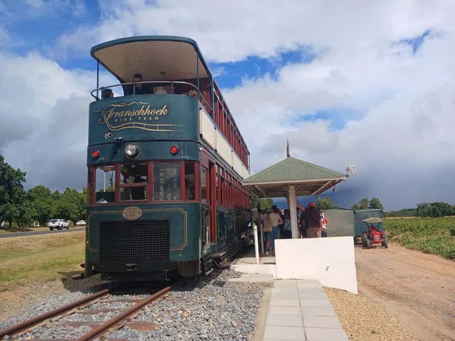 Cape Town: Stellenbosch, Franschhoek, Wine Tasting and Tram - Marianne adds biltong to the wine lesson