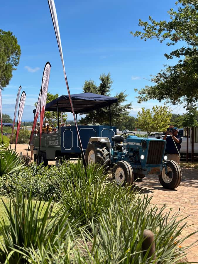 Cape Town: Stellenbosch Hop-On Hop-Off Tractor Transfer - Key points before you book