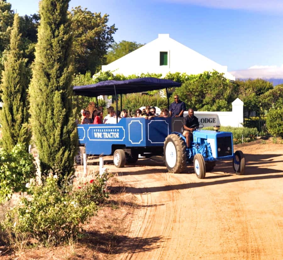 Cape Town: Stellenbosch Hop-On Hop-Off Tractor Transfer - Why the tractor makes the wine route special