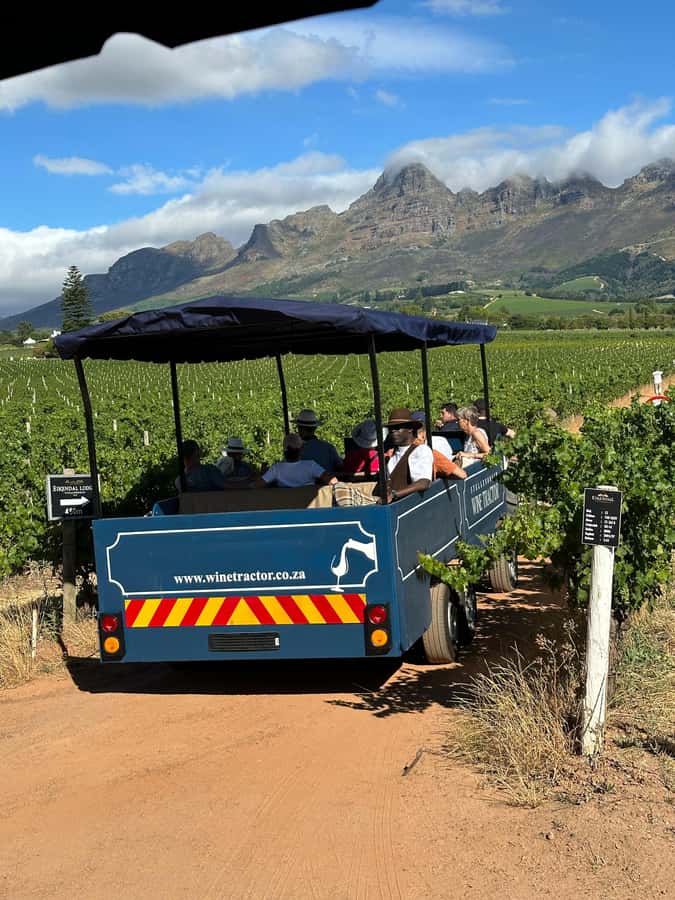 Cape Town: Stellenbosch Hop-On Hop-Off Tractor Transfer - The guides, stories, and sound of the ride