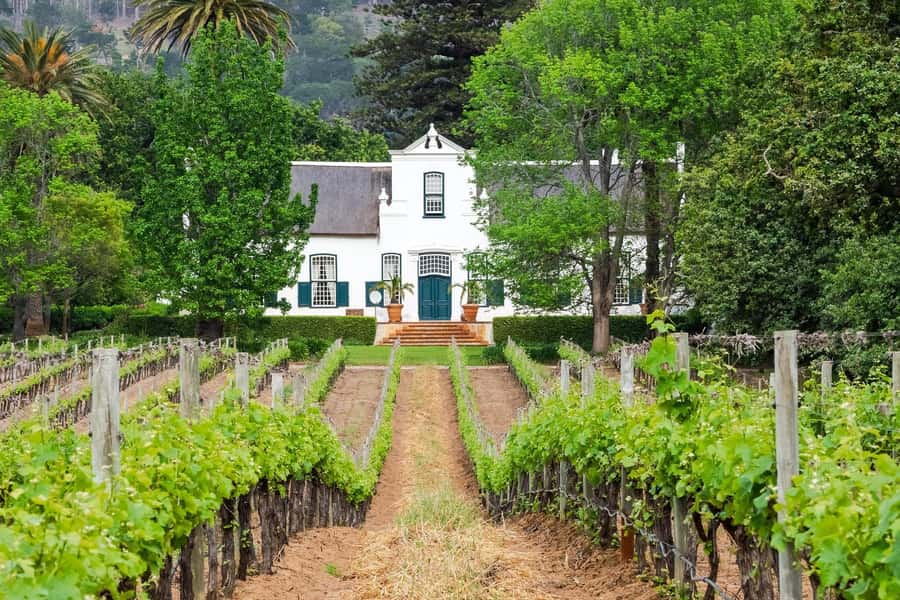 Cape Town: Stellenbosch Wine Half-Day Tour - What the $52 price really includes