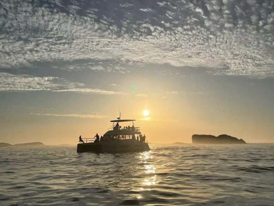 Cape Town: Sunset Champagne Cruise - Meeting at the V&A Waterfront