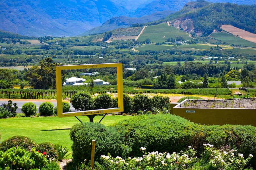Cape Town: Wine Tram & Winelands Tour with Tastings & Pickup - The Mandela stop adds weight to the day