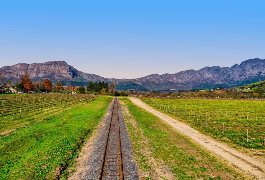 Cape Town: Wine Tram & Winelands Tour with Tastings & Pickup - Small group or private tour?
