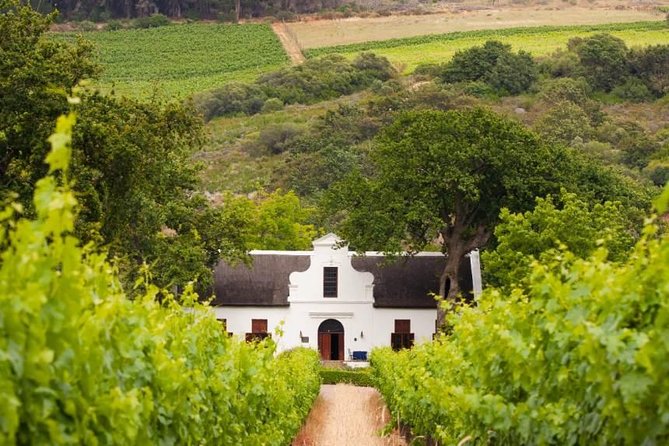 Cape Winelands and Wine Tasting Full Day Tour - Eikenhof offers a smaller family farm experience