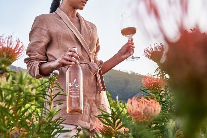Cape Winelands Explore Full Day Tour with Private Transfer - What the guides add to the day