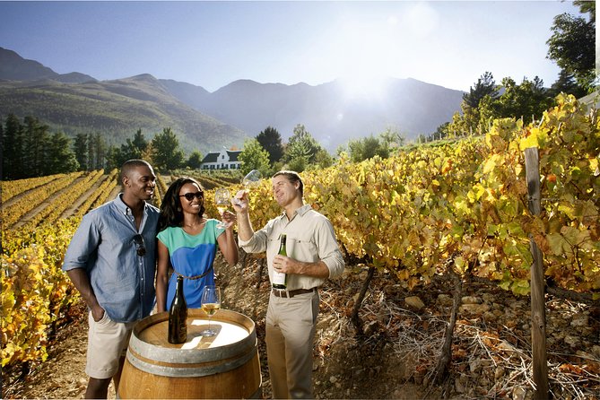 Cape Winelands Private Tour to Stellenbosch and Franschhoek - Franschhoek and the final stop at Delaire Graff